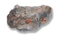 M 00690
<br/>
<br/>
<em></em>